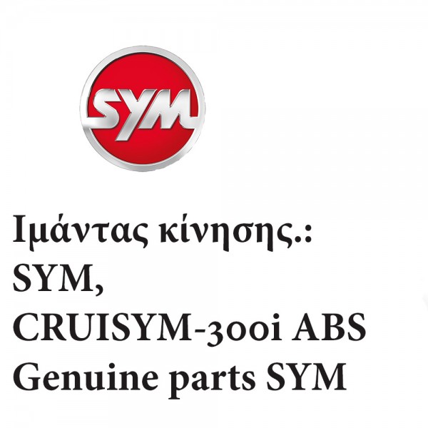 cruisym300